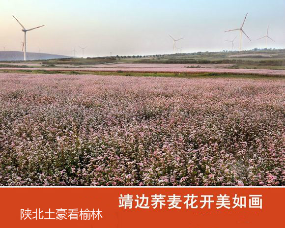 带你一起看榆林