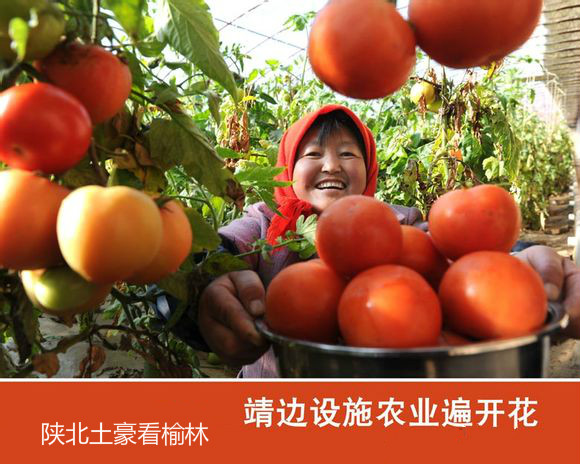 带你一起看榆林
